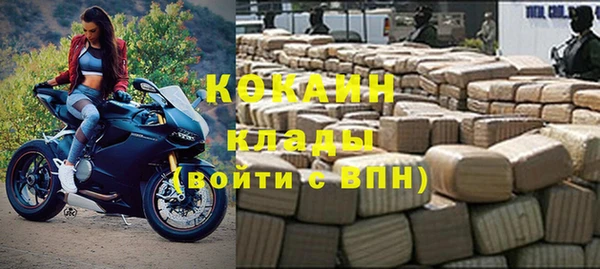 дмт Нея